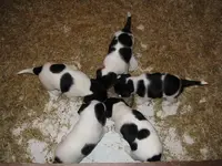 008_1024x768.webp