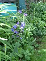 CIMG0192.webp