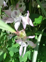 CIMG0193.webp