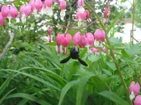 008.webp