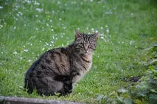 DSC_4390.webp
