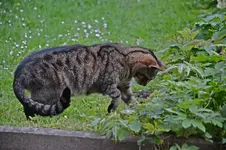 DSC_4392.webp