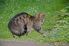 DSC_4393.webp