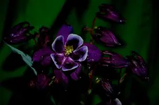 DSC_0218.jpg