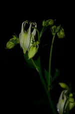 DSC_0219.webp