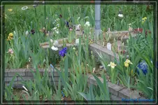 comp_DSC03318.webp