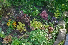 DSC_4397.jpg