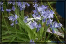 comp_DSC03305.webp