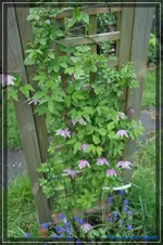 comp_DSC03307.webp