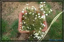 comp_DSC03317.webp
