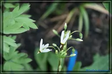 comp_DSC03322.webp