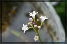comp_DSC03325.webp