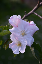 DSC_4406.webp