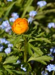 DSC_4416.jpg