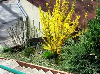 2015-04-28 Frühling an der Himmelsleiter.webp