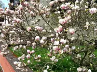 2015-04-28      kam noch was nach.webp