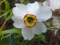 P1360372.webp