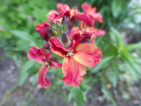 P1360370.webp