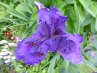 P1360374.webp