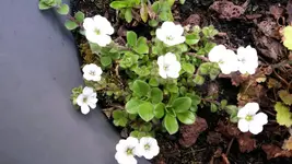 20150507_123216.webp