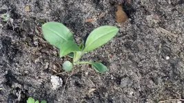 P1090341.webp