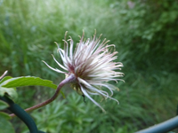 P1360451.webp