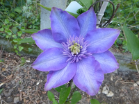 P1360118.webp