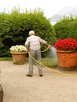 DSCN0472.webp