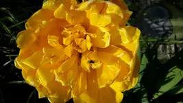 20150507_182517.webp