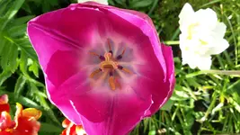 20150507_182532.webp