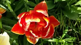 20150507_182538.webp