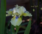 IMG_7328.jpg