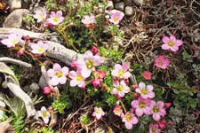 DSCF0738 (2).webp
