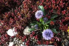 DSCF0739 (2).webp