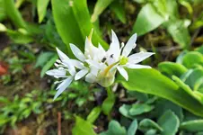 DSCF0741 (2).webp