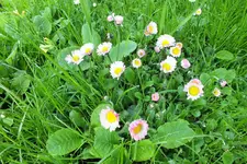 DSCF0745 (2).webp