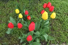 DSCF0746.webp