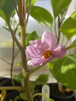 DSCN2309.webp