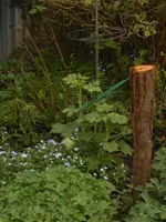 DSCN2287.webp