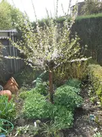 DSCN2244.webp