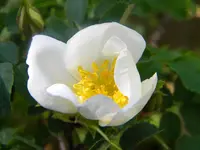 DSCN7863.webp