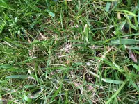 IMG_2785.webp