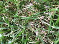 IMG_2786.webp
