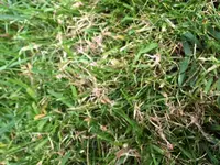 IMG_2788.webp