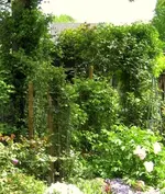 IMG_4429-004.webp