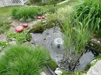 Teich.webp