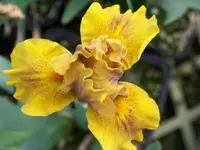 100_6048.webp
