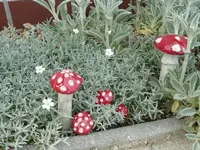 Pilze.webp