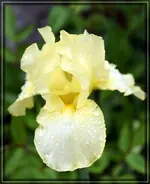comp_DSC09214.webp