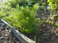 008.webp